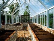 Особенности выбора теплиц