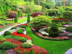 Ландшафтный дизайн в нашей жизни