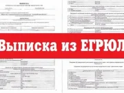 Что такое выписка из ЕГРЮЛ?