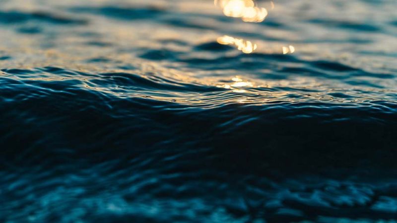 Рыбака в лодке насмерть раздавил теплоход в Ивановской области Тела пропавших при столкновении судов на Волге продолжают искать