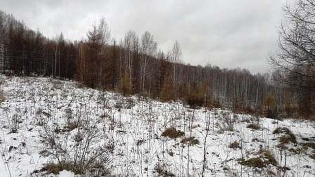 Дачника в Ивановской области оштрафовали на 20 тысяч за брошенный участок Дачника в Ивановской области оштрафовали на 20 тысяч за брошенный участок