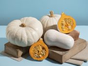 Тыква — кладезь полезных веществ и витаминов