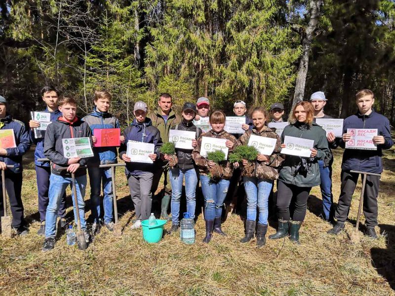 Под Кишешмой руками школьников высажены сосны Под Кишешмой руками школьников высажены сосны